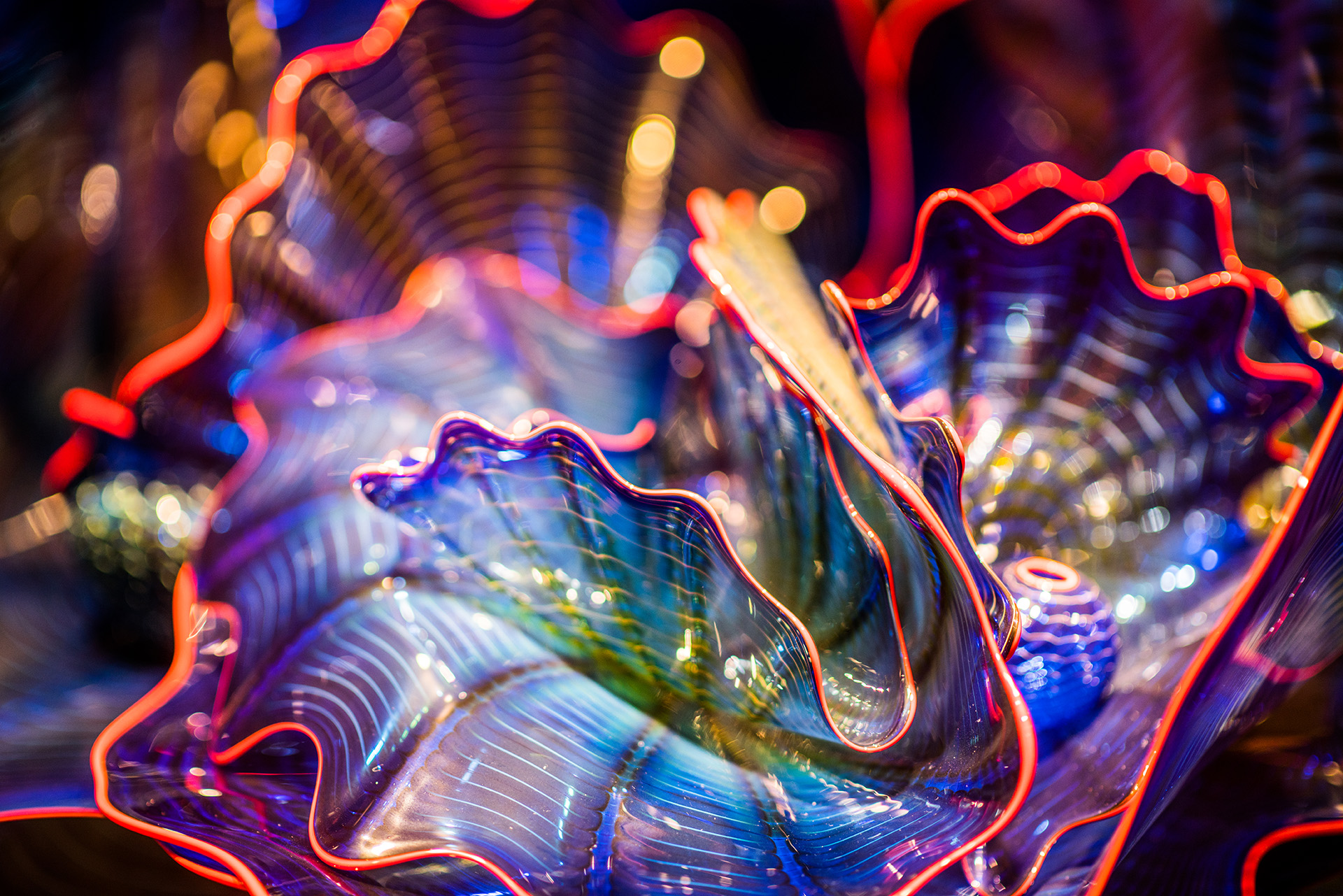CHIHULY's Glass Collection | Exhibits | MGM