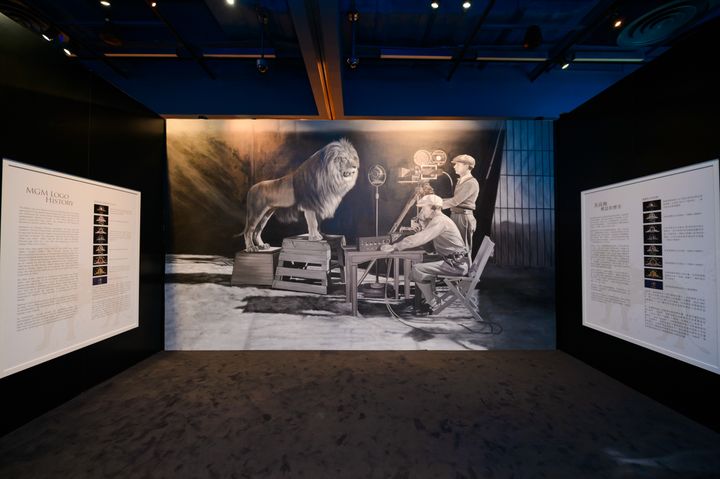 exhibit  biennial of the lions  2 3