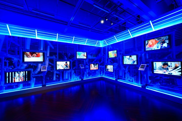 exhibit  biennial of the lions  2 6