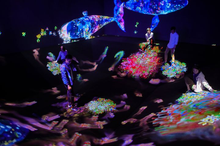 exhibit  learn play teamlab future park  ant 3381