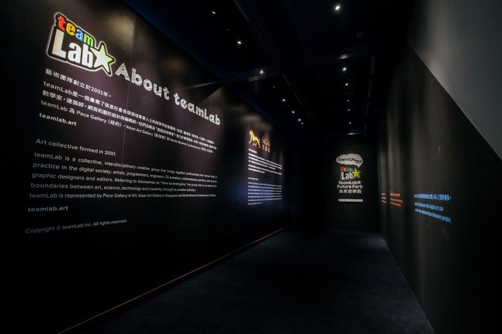 exhibit  learn play teamlab future park  ant 3842