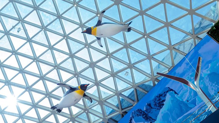 press release  an auspicious go for the year of golden tiger at mgm  05an auspicious go for the year of golden tiger at mgm