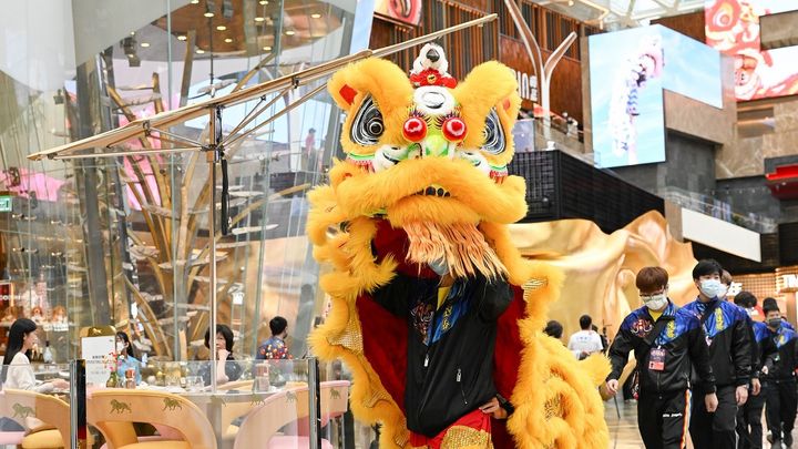 press release  the 9th mgm lion dance championship kicked off today  03 the 9th mgm lion dance championship kicked off today