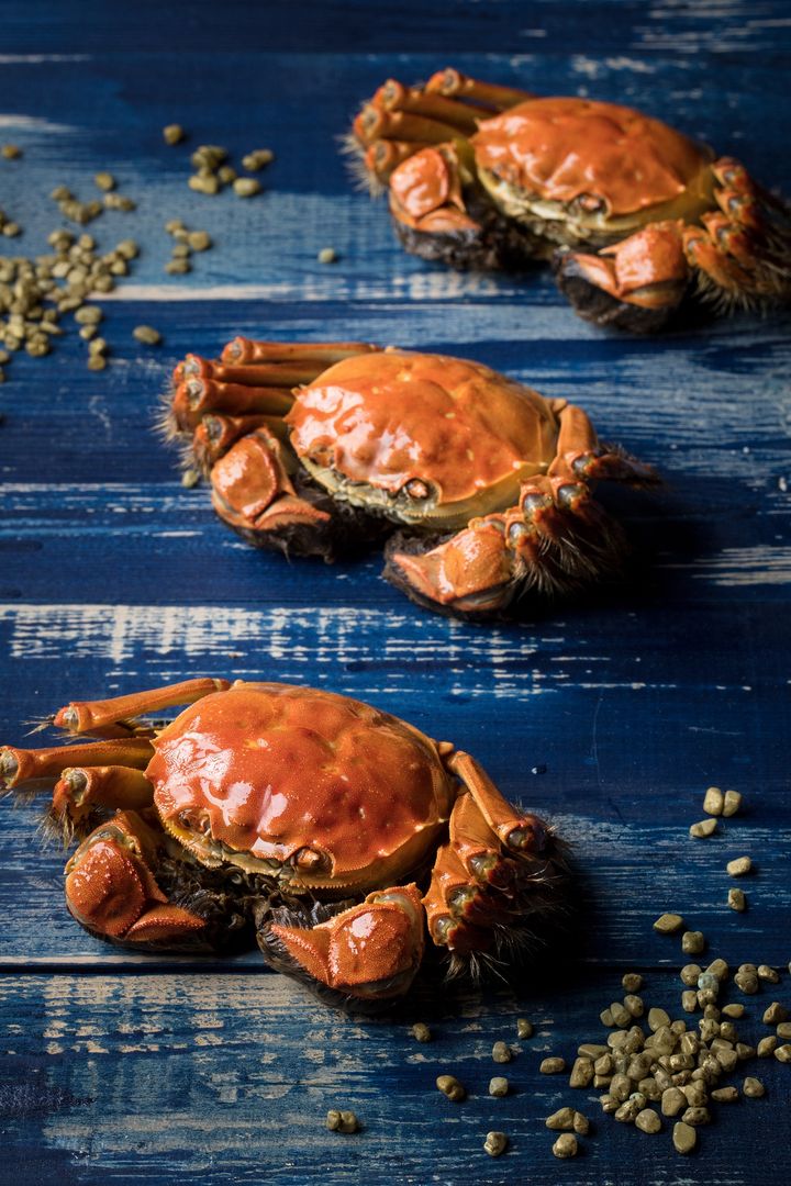 press release  ultimate delicacies autumn hairy crab mgm  02ultimate delicacies of autumn hairy crab at mgm
