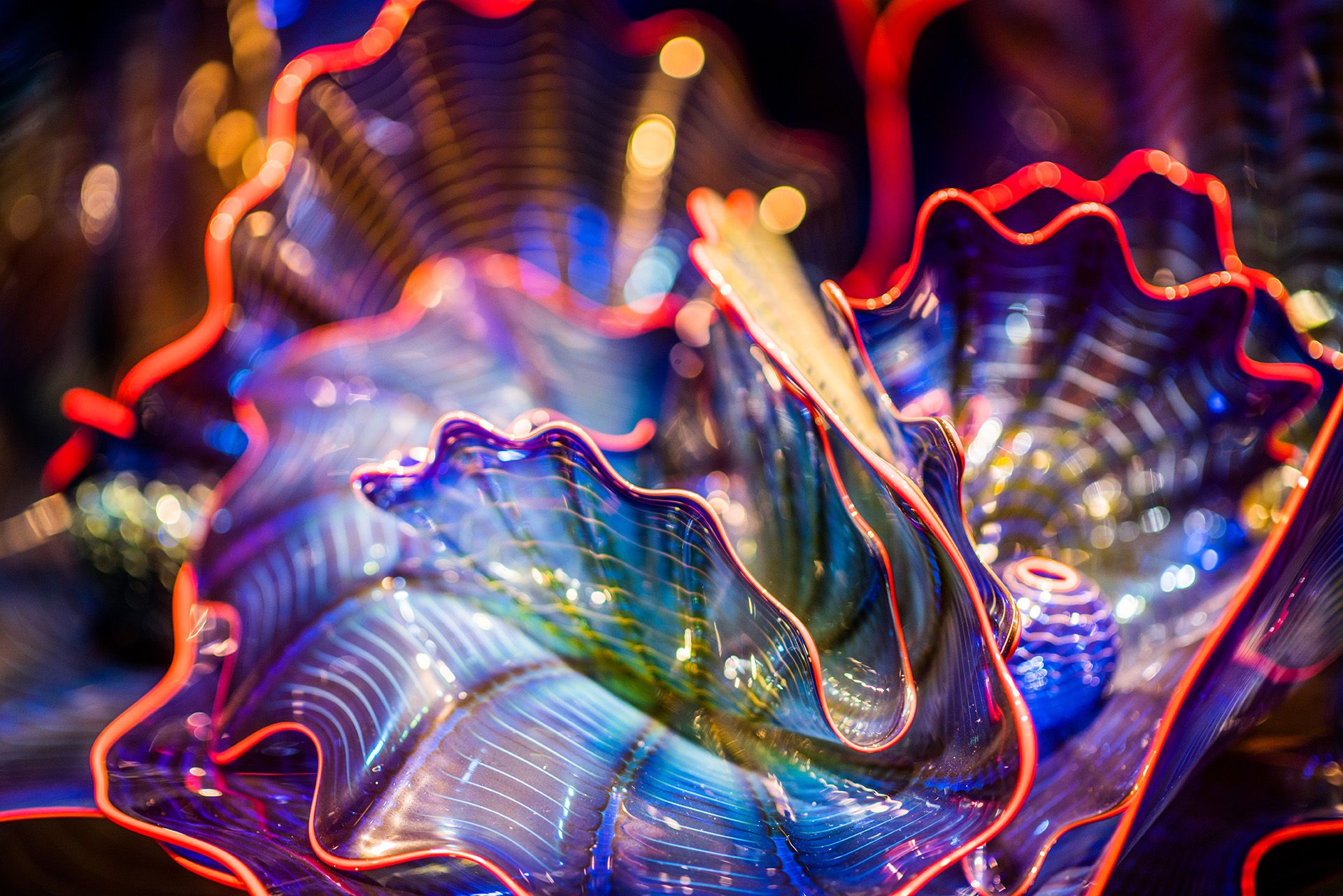 A&C-ArtCollections-Chihuly.JPG